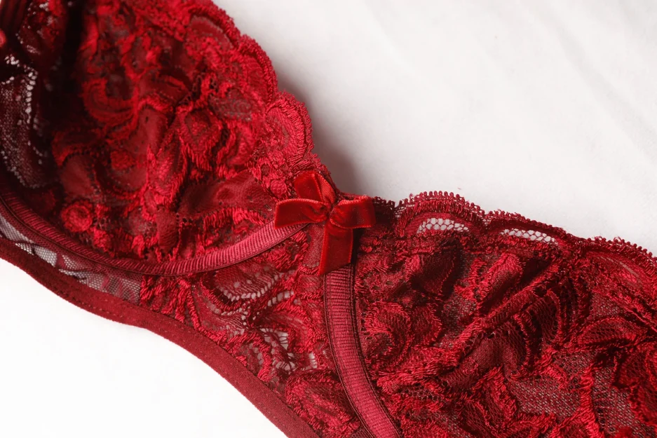 Burdungy Bra - Image 4